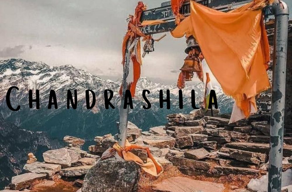 Chopta Chandrashila Trek from Delhi – Complete Guide with Itinerary & Tips